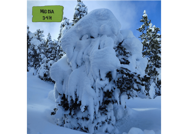 Ruta amb raquetes de neu amb guia al Pirineu, als boscos de Port Ainé
