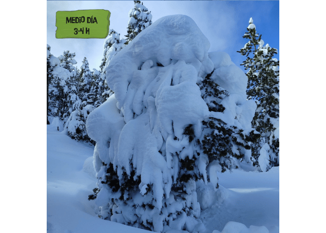 Rutas con raquetas de nieve con guía en los Pirineos por los bosques de Port Ainé