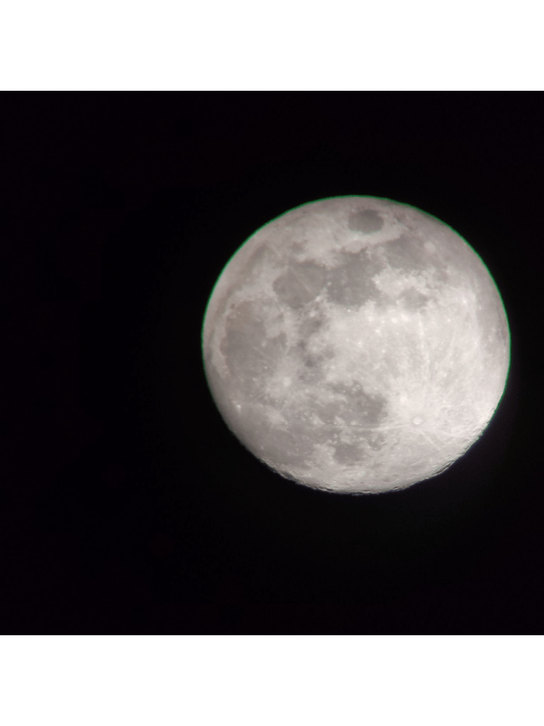Observació d'animals nocturns als Pirineus - Observación de animales nocturnos en los Pirineos - Nocturnal animal's observation in the Pyrenees