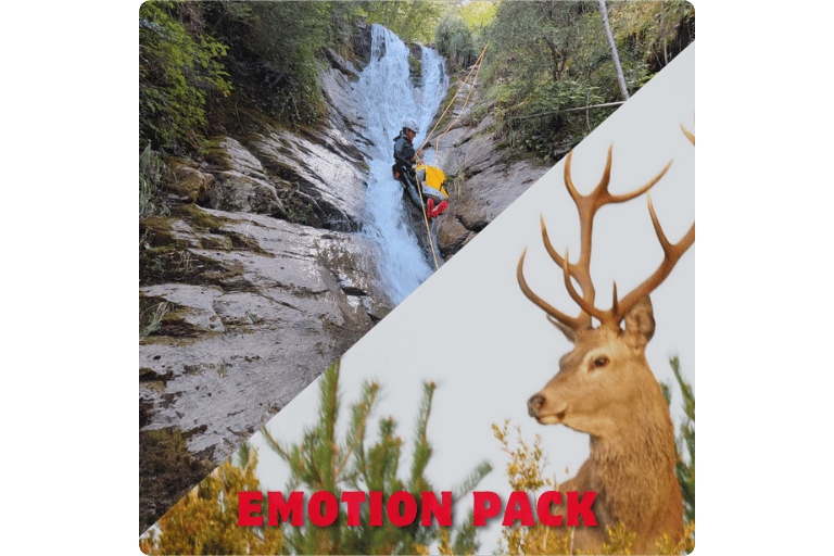 Pack that includes 2 activities at the best price: deer rut and canyoning