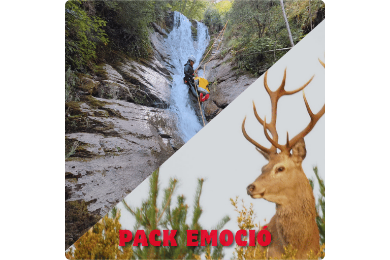 Pack de dues activitats a millor preu: Barranc i la brama del cérvol