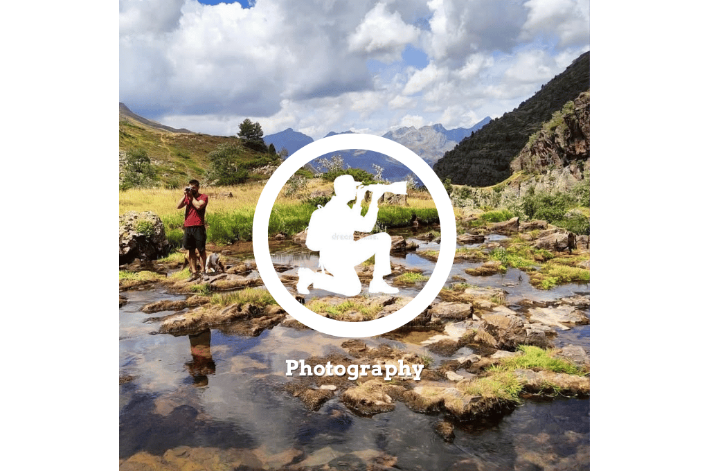 Guided tours in the Pyrenees to be able to capture a picture of the animals in their natural habitat, or of the amazing views