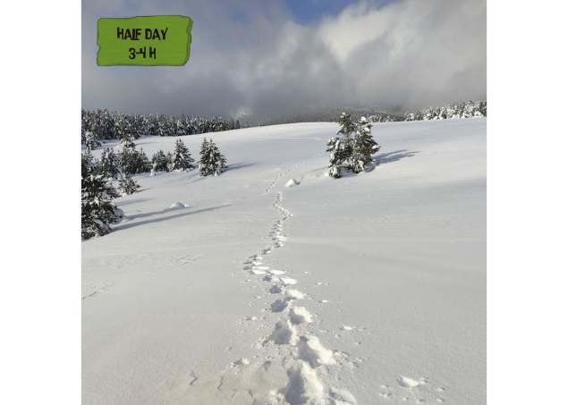 Routes with snowshoes with a guide in the Pyrenees, until Sant Joan de l'Erm Vell