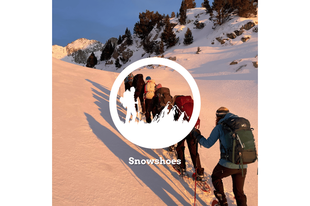 Snowshoeing routes with a guide in the Pyrenees