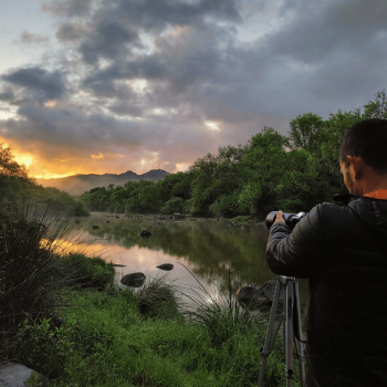 Guiatges fotogràfics per poder capturar imatges d'animals al seu estat salvatge Guiajes fotográficos para poder capturar imagenes de animales en su estado salvaje Photographic guides to help you capture images of animals in their wild state