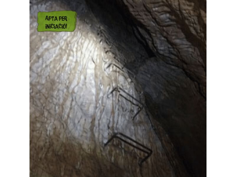Via ferrata amb guía - Venes de Rojalons